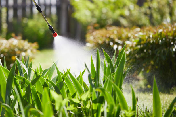 24/7 Emergency Ant Control experts in West Monroe, MI