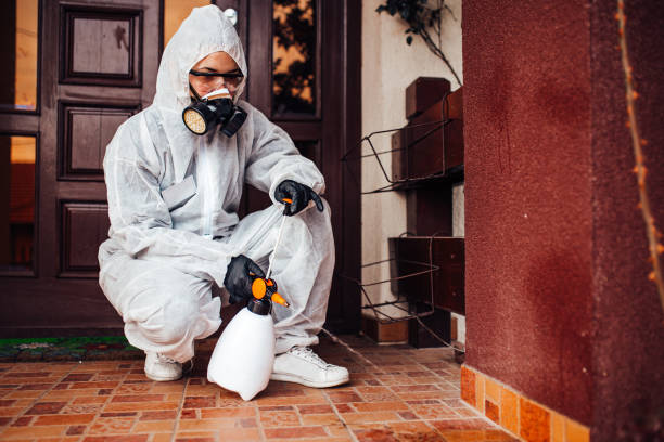 Reliable Ant Control contractor in West Monroe, MI by Show Me Pest Control