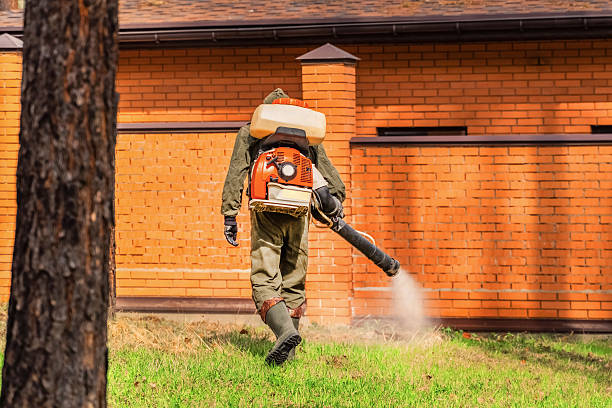 Top rated local Ant Control specialists in West Monroe, MI
